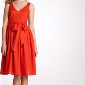 J Crew Cotton Dress